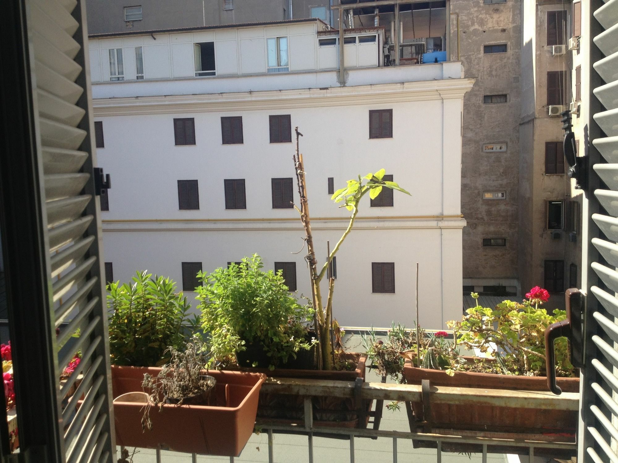 Gasthuis Termini Rome